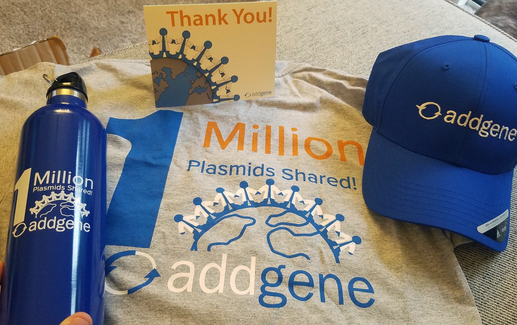 One million plamsids