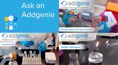 Addgene-protocol-videos