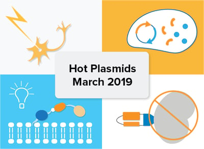 Hot plasmid addgene