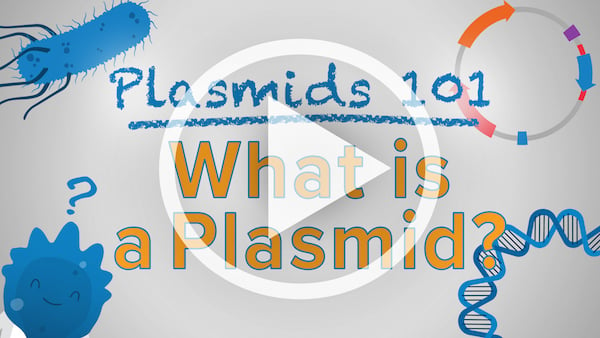 Plasmids 101 What is a Plasmid video thumbnail with play button