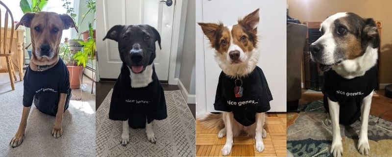 Addgene pets wearing nice genes T shirts