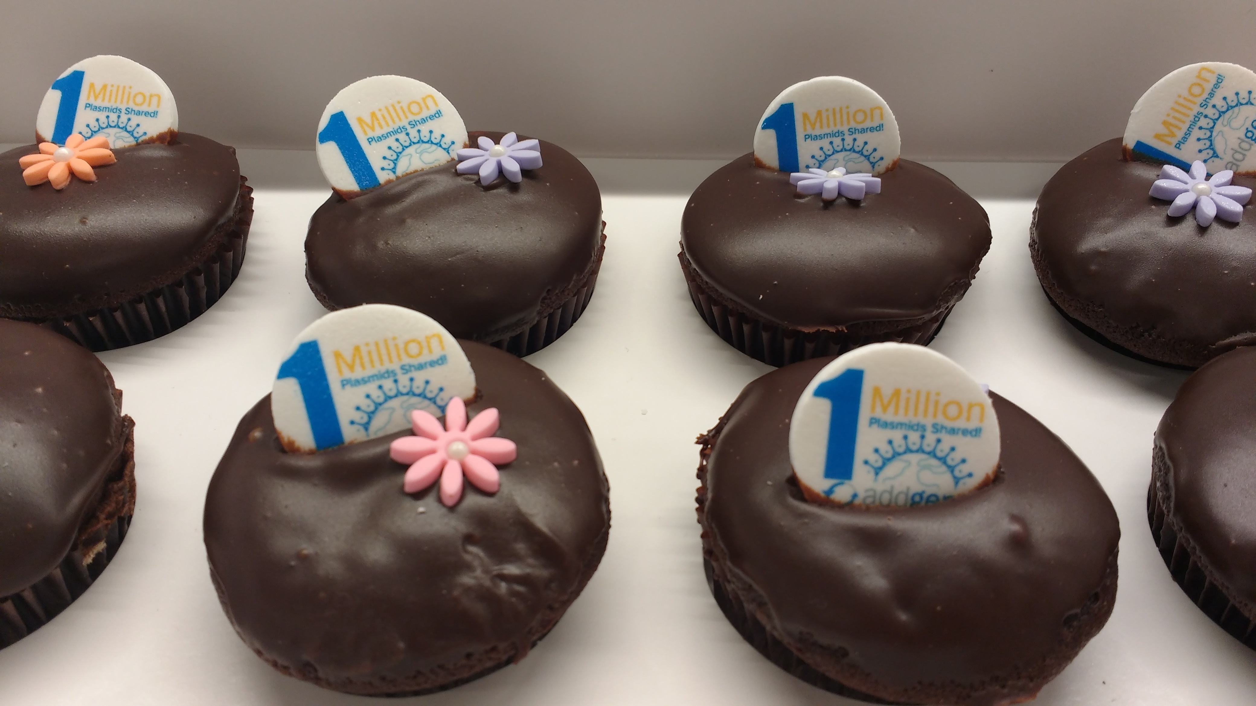 IMG_20180912_075025138