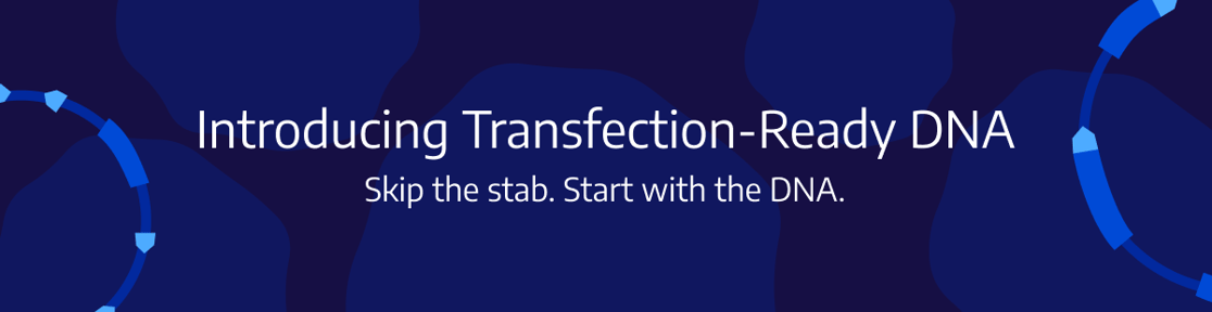 email-header